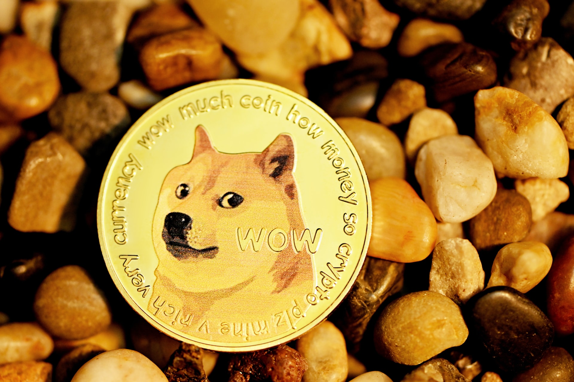 터키서 3억 5천만 달러 DOGE 사기사건 조사 중 - 코인판뉴스